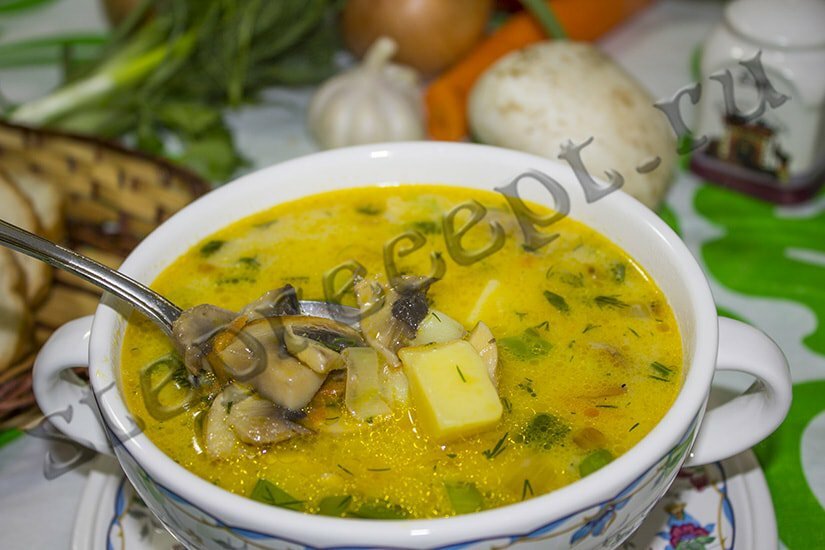 суп с шампиньонами рецепт с фото Грибной суп с плавлеными сырками