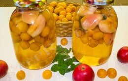 что приготовить из сливы